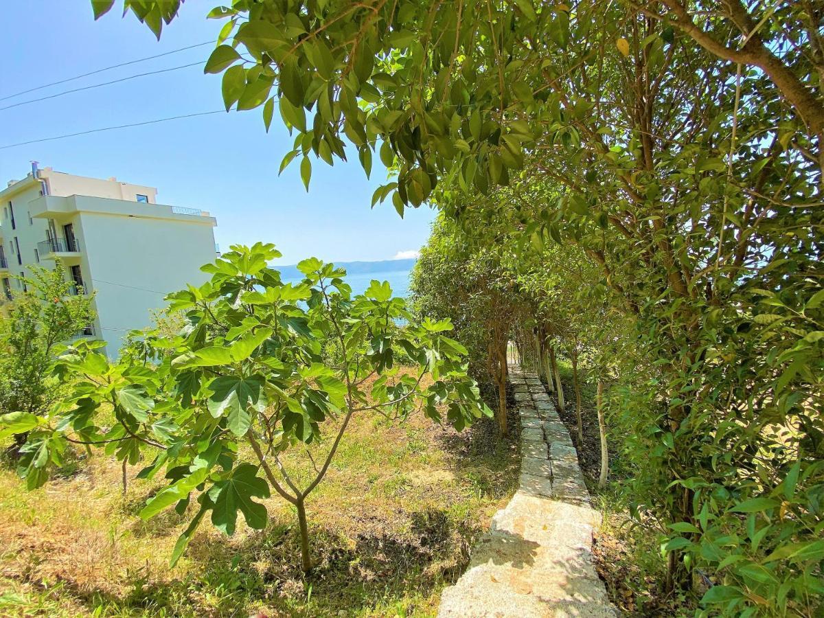 Ramo'S Green Beachside Retreat - Cozy 2 Bedroom Home Vlorë Exterior foto